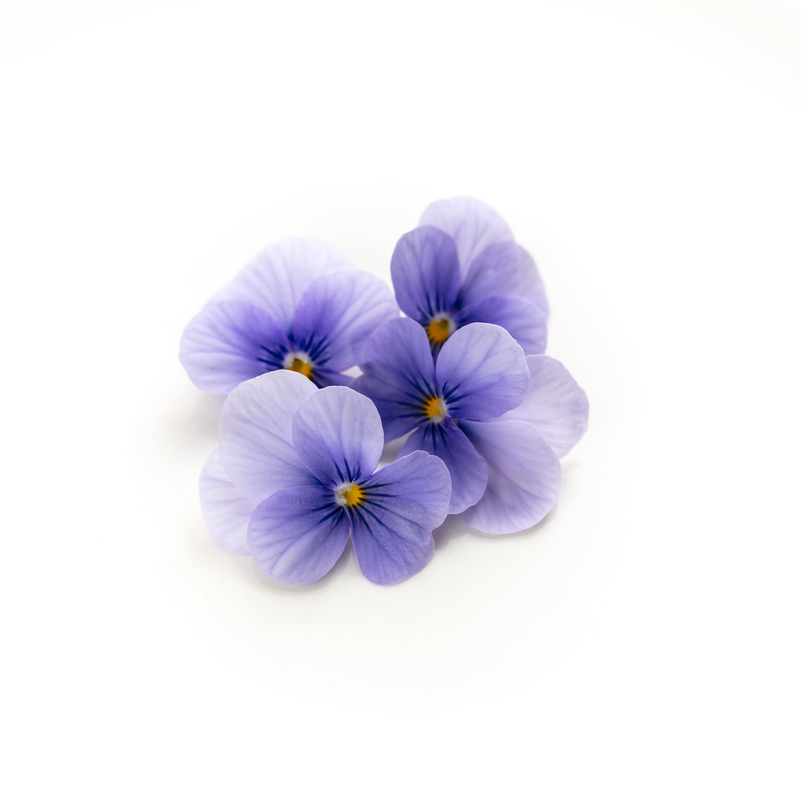 クリアライトブルー