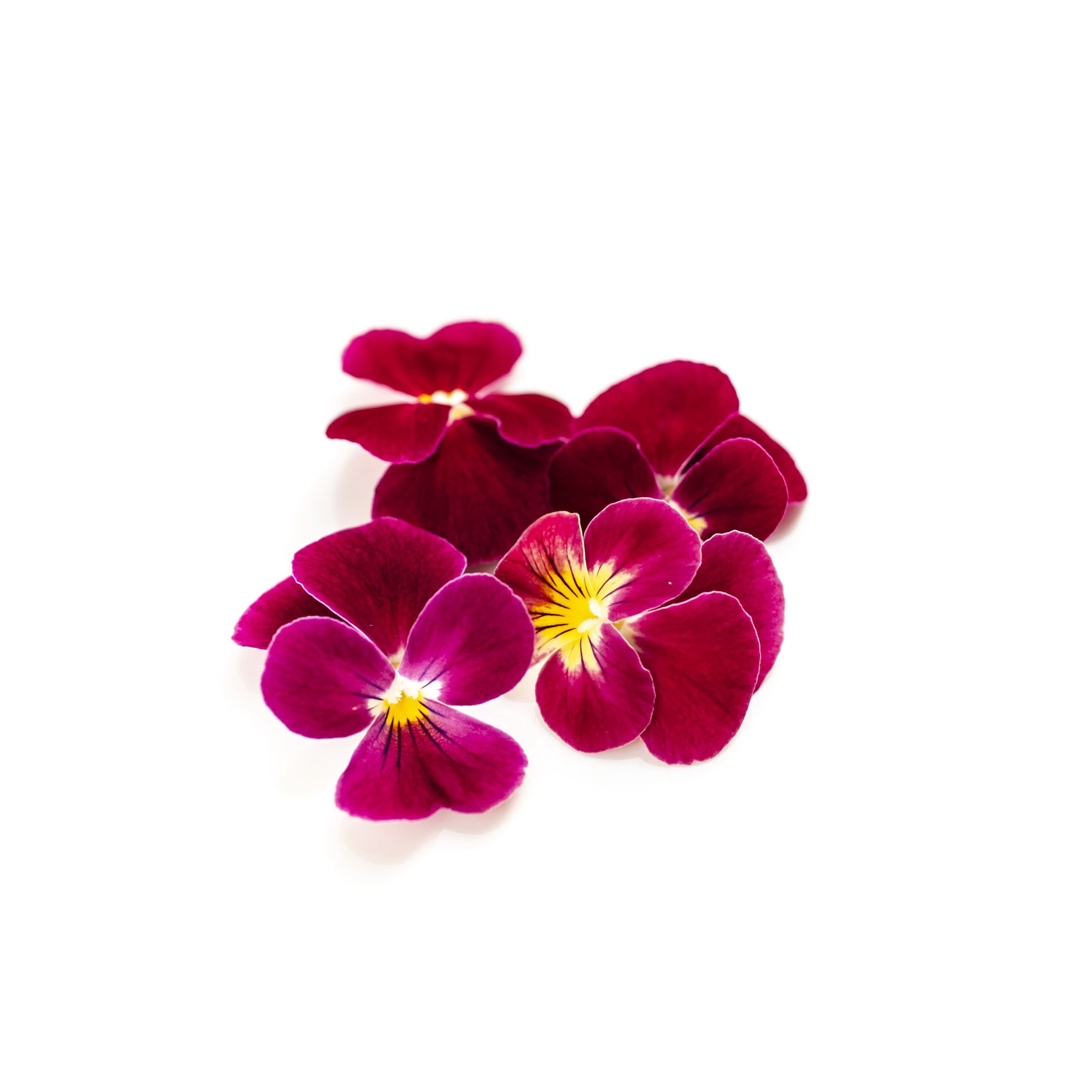 スイートローズ