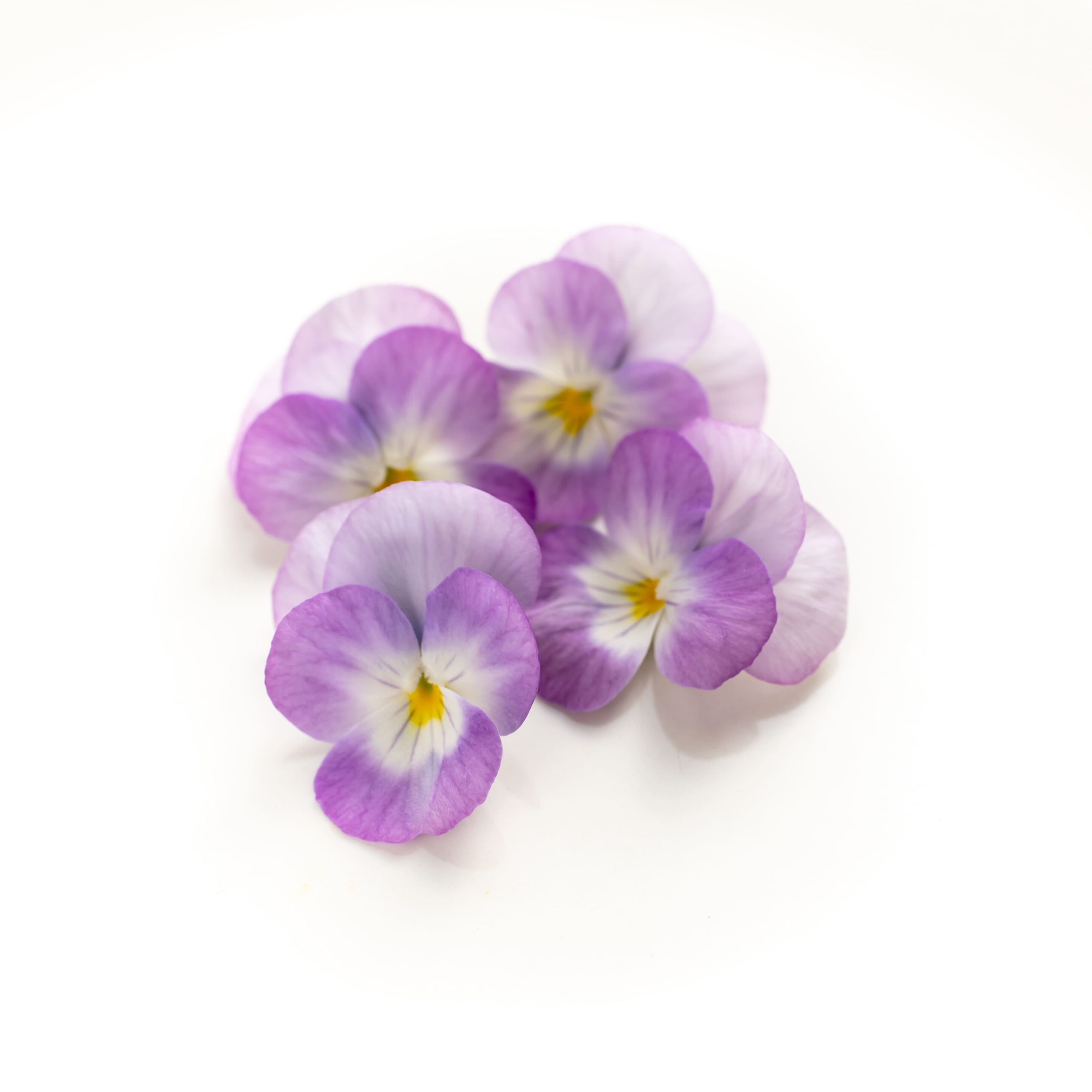 スーパーソフトピンク