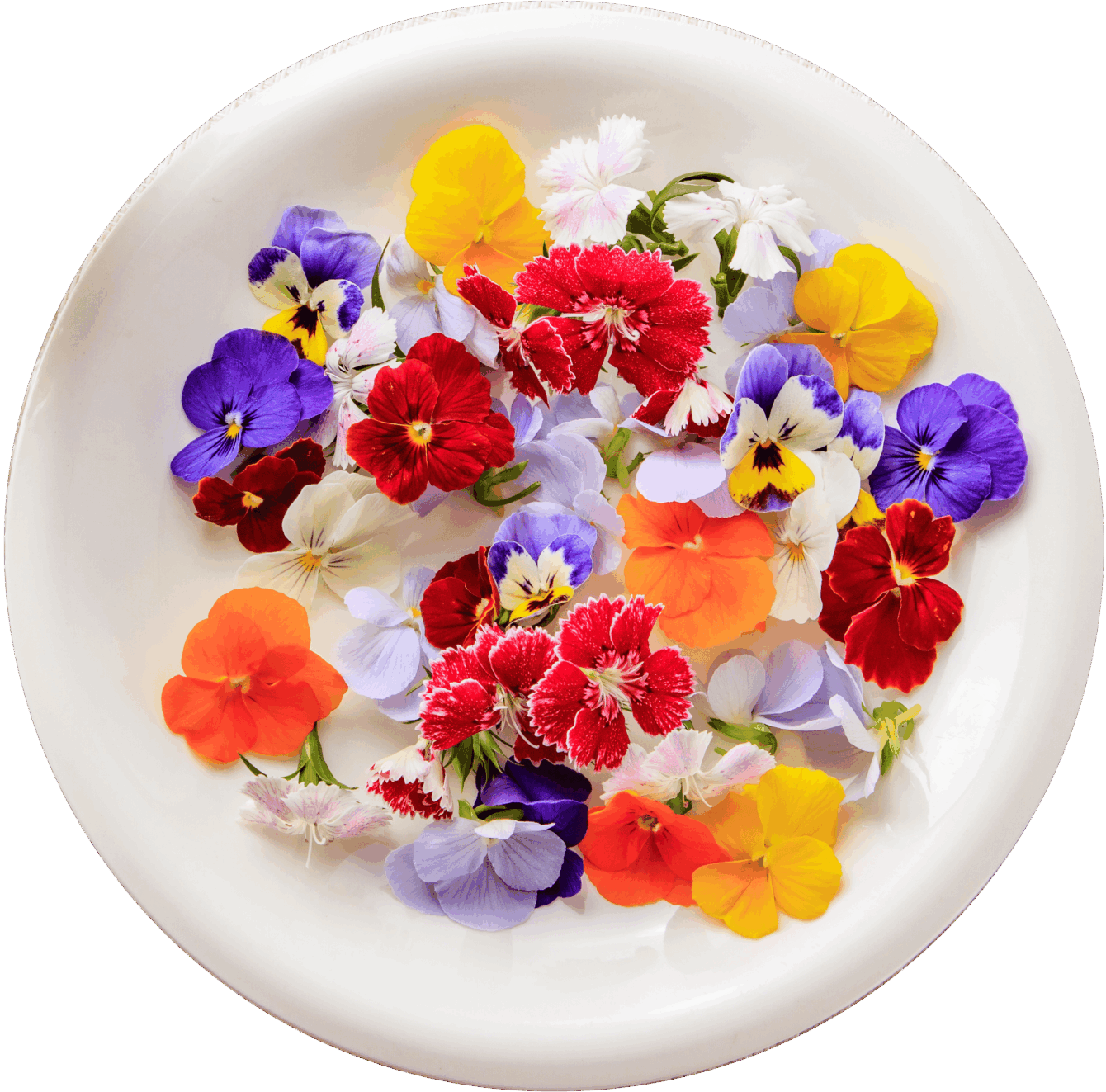 食用花の盛り合わせ