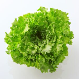 サラダが華やぐ ごちそうレタス 8袋 大阪府泉佐野産